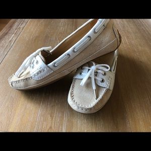 Sebago Bala Taupe